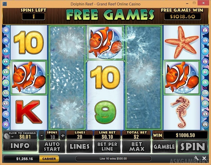 dolphin-reef-slot-slot-winning-screenshot-dolphin-reef-3-556646537528f765448b4575