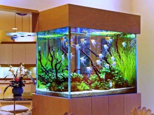 аквариум в интерьере квартиры 1