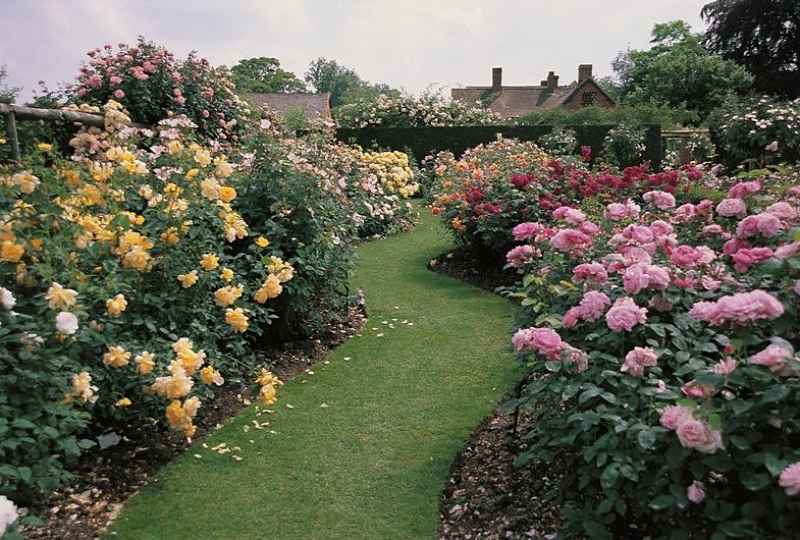сад в английском стиле 2